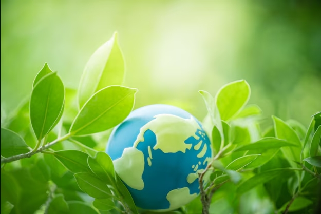 ENVIRONMENTAL PROTECTION AND LABOR PROTECTION
